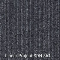 Linear Project-SDN 861